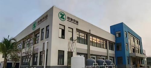 上海味道惊艳亮相日本JFEX国际食品展，中旅助力中国美食走向世界