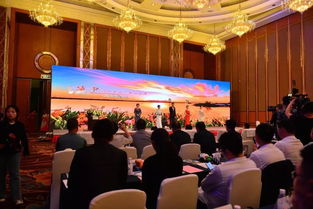 共同打造大熊猫自然保护观光游——我市向中国国际旅行社发出诚挚邀约